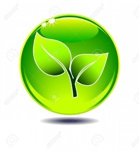 logo eco